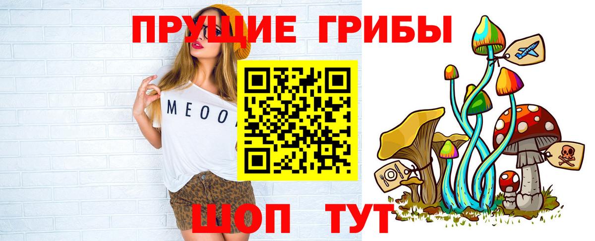 Бор  Псилоцибиновые грибы Psilocybe  Вход с VPN  Галлюциногенные грибы Psilocybe 