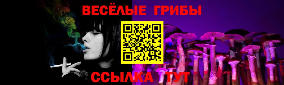 Псилоцибиновые грибы GOLDEN TEACHER Бор